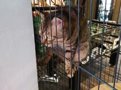 -第三空间·趣味桌游·轰趴.室内CS.剧本杀(大武汉1911店)