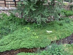 -北京水岸山吧度假村(雁栖镇店)