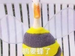 -广州粤海喜来登酒店