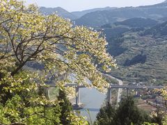-金堂县云顶石城风景区