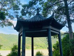 -羚羊峡古栈道森林公园