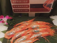 -加餐海鲜自助(宝龙一城店)