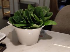 -左庭右院鲜牛肉火锅(浦江欢乐颂店)