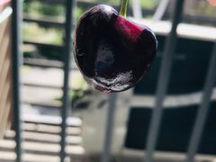-双福水果批发市场
