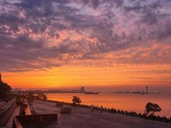 -上海滨江森林公园