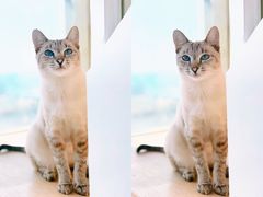-宠颐生中康贝怡动物医院