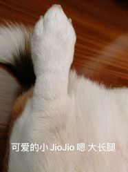 点击看大图 -U3美甲