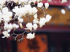 -杭州上天竺法喜讲寺