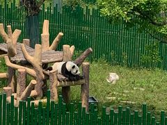 -沈阳森林动物园