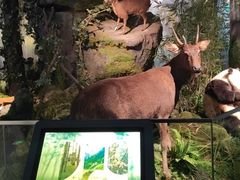 -四川大学博物馆