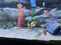 -芜湖新华联大白鲸海洋公园