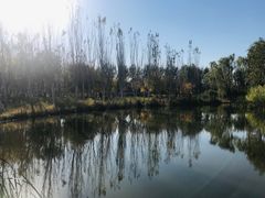 -东郊湿地公园