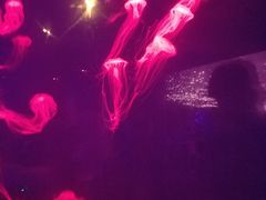 -波塞冬旅游度假区