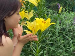 -都江堰玫瑰花溪谷