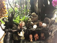 -自然餐厅(Phuket)
