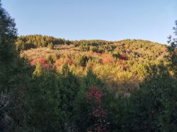点击看大图 -浅山蜜塘奇妙乐园·亲子营地