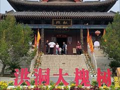-大槐树寻根祭祖园