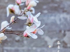 -东华门大街小区