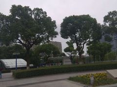 -中央公园(苏州工业园区)