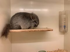 -龙猫仔乐园(惠福东路店)