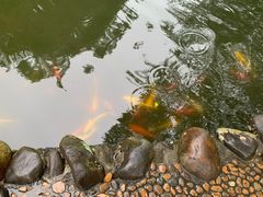 -海南文笔峰盘古文化旅游区