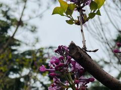 -郑州中国绿化博览园