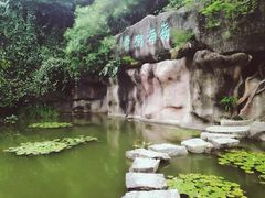 -深圳国际园林花卉博览园