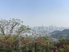 -点都德(广州白云山景区南门店)