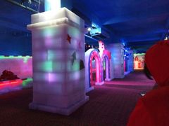 -芜湖新华联大白鲸海洋公园