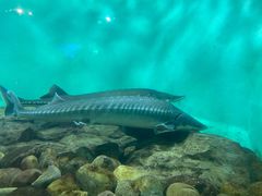 -太平洋海底世界