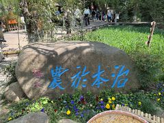 -天目湖山水园