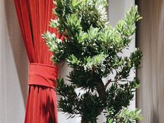 -喜湘宴·精致湖南菜(和平西桥店)