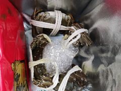 -阳澄湖大闸蟹·琼灵阁牌品牌连锁(吴中总店)