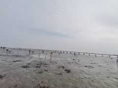 -南汇新城海滩