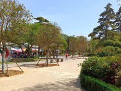 -洛阳市牡丹公园