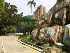 -香港大学