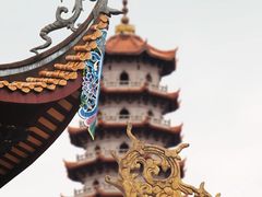 -福道