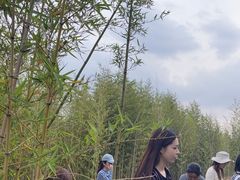 -嘉北郊野公园