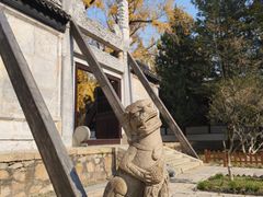 -苏州文庙(姑苏区)