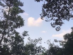 -火炉山森林公园