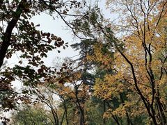 -北京上方山国家森林公园