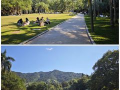 -深圳市中科院仙湖植物园