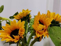 -吾家香港烧腊专门店