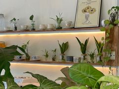 -绿小院(荔湾店)