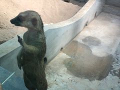 -银川动物园