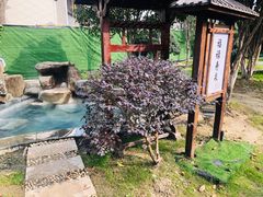 -嘉兴清池酒店温泉