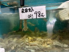 -胶东海鲜大排档(北太平庄店)