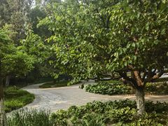 -宣武艺园