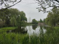 -澹台湖公园