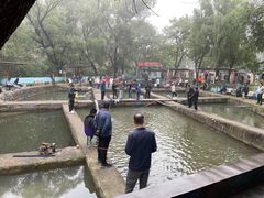-双新垂钓园